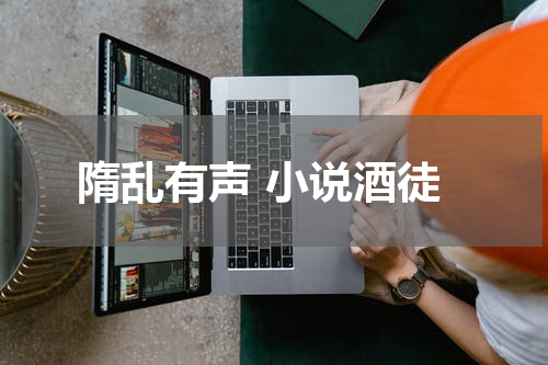 隋乱有声 小说酒徒