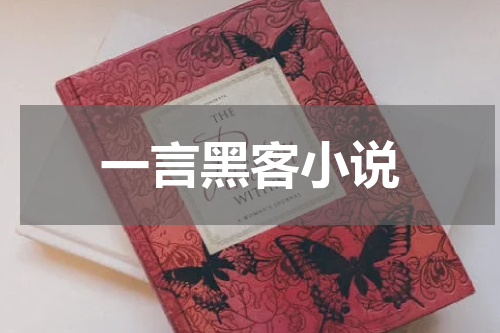 一言黑客小说