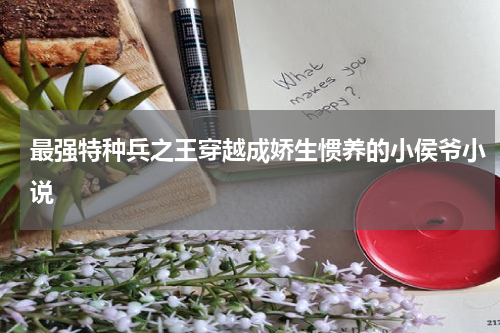 最强特种兵之王穿越成娇生惯养的小侯爷小说