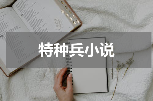 特种兵小说