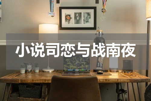 小说司恋与战南夜