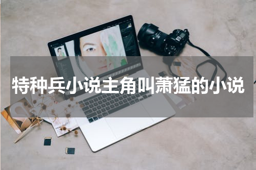 特种兵小说主角叫萧猛的小说