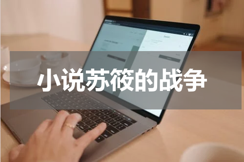 小说苏筱的战争
