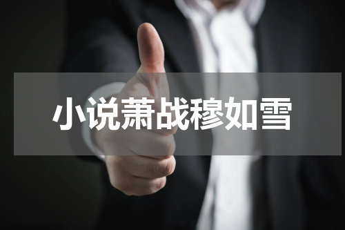 小说萧战穆如雪