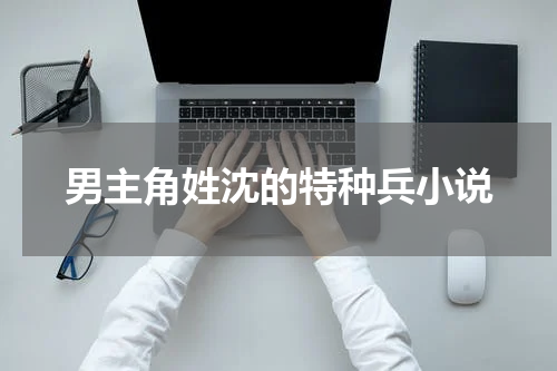 男主角姓沈的特种兵小说
