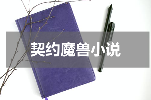 契约魔兽小说