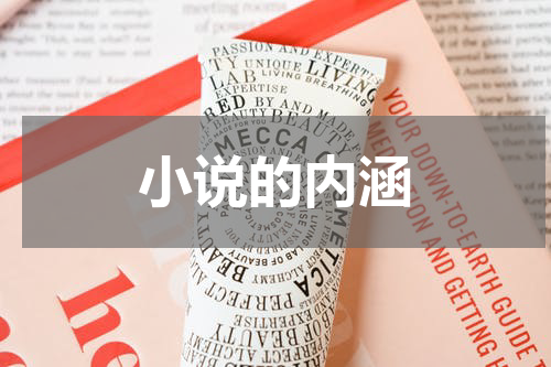 小说的内涵