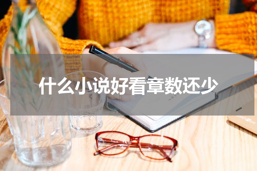 什么小说好看章数还少