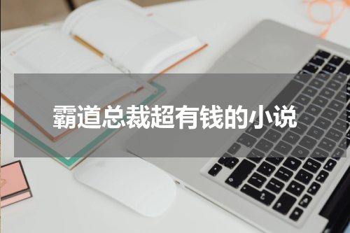 霸道总裁超有钱的小说