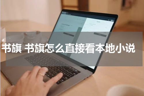 书旗 书旗怎么直接看本地小说