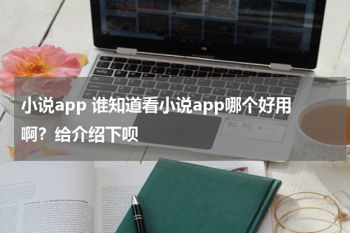 小说app 谁知道看小说app哪个好用啊？给介绍下呗