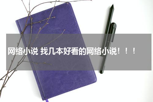 网络小说 找几本好看的网络小说！！！