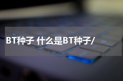 BT种子 什么是BT种子/