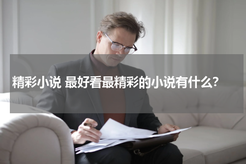 精彩小说 最好看最精彩的小说有什么？