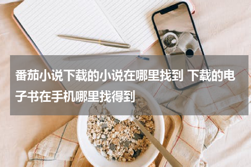 番茄小说下载的小说在哪里找到 下载的电子书在手机哪里找得到