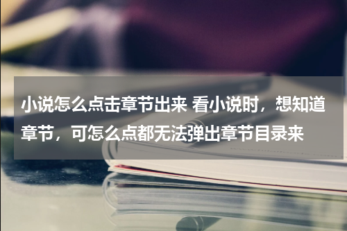 小说怎么点击章节出来 看小说时，想知道章节，可怎么点都无法弹出章节目录来