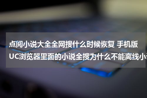 点阅小说大全全网搜什么时候恢复 手机版UC浏览器里面的小说全搜为什么不能离线小说，