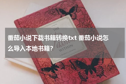 番茄小说下载书籍转换txt 番茄小说怎么导入本地书籍？