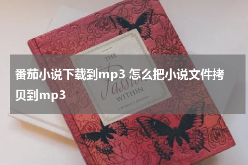 番茄小说下载到mp3 怎么把小说文件拷贝到mp3