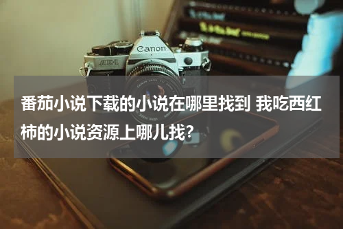 番茄小说下载的小说在哪里找到 我吃西红柿的小说资源上哪儿找？