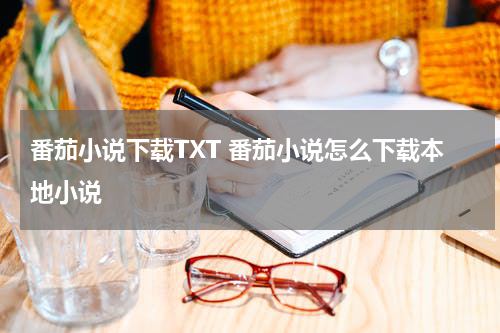 番茄小说下载TXT 番茄小说怎么下载本地小说