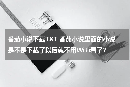 番茄小说下载TXT 番茄小说里面的小说是不是下载了以后就不用WiFi看了？