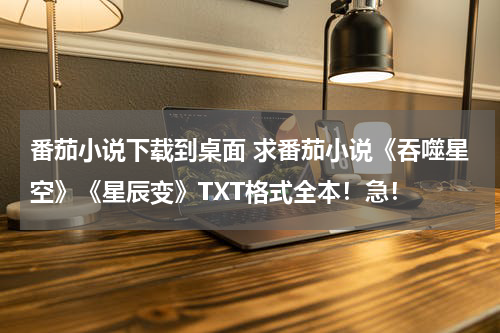 番茄小说下载到桌面 求番茄小说《吞噬星空》《星辰变》TXT格式全本！急！