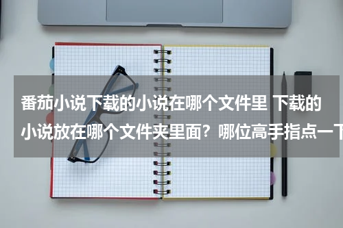 番茄小说下载的小说在哪个文件里 下载的小说放在哪个文件夹里面？哪位高手指点一下？