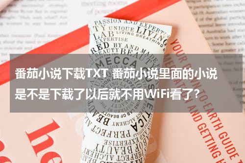 番茄小说下载TXT 番茄小说里面的小说是不是下载了以后就不用WiFi看了？