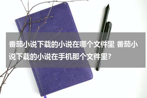 番茄小说下载的小说在哪个文件里 番茄小说下载的小说在手机那个文件里？