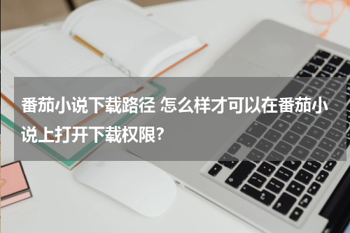番茄小说下载路径 怎么样才可以在番茄小说上打开下载权限？