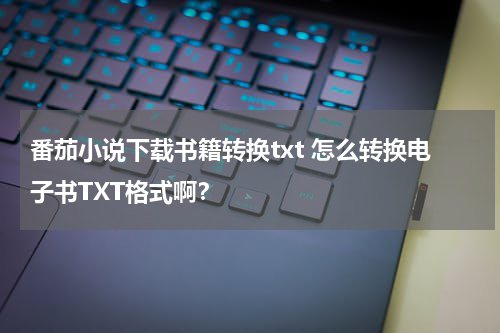 番茄小说下载书籍转换txt 怎么转换电子书TXT格式啊？