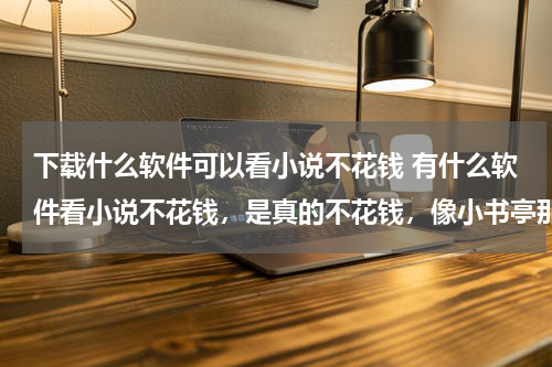 下载什么软件可以看小说不花钱 有什么软件看小说不花钱，是真的不花钱，像小书亭那样的