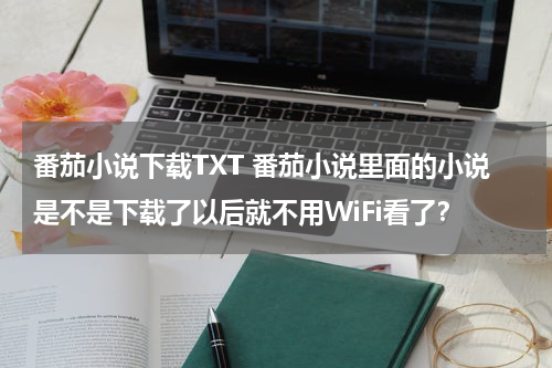番茄小说下载TXT 番茄小说里面的小说是不是下载了以后就不用WiFi看了？