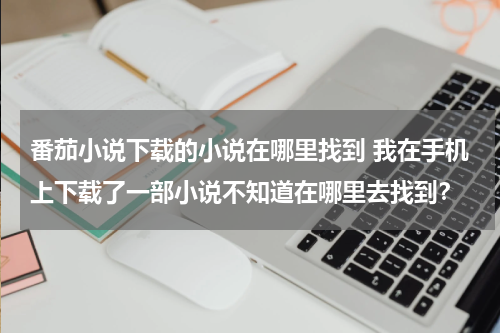 番茄小说下载的小说在哪里找到 我在手机上下载了一部小说不知道在哪里去找到？