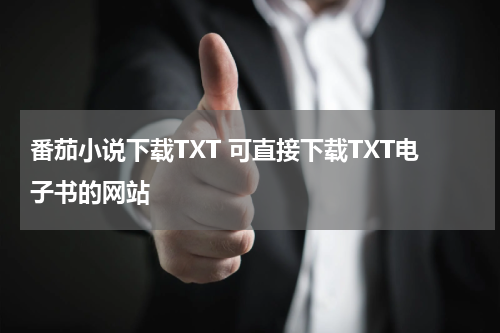 番茄小说下载TXT 可直接下载TXT电子书的网站