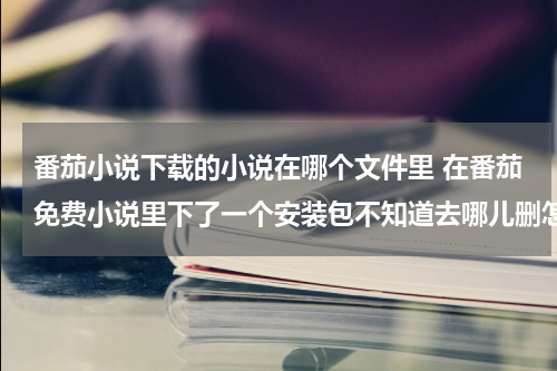 番茄小说下载的小说在哪个文件里 在番茄免费小说里下了一个安装包不知道去哪儿删怎么办？