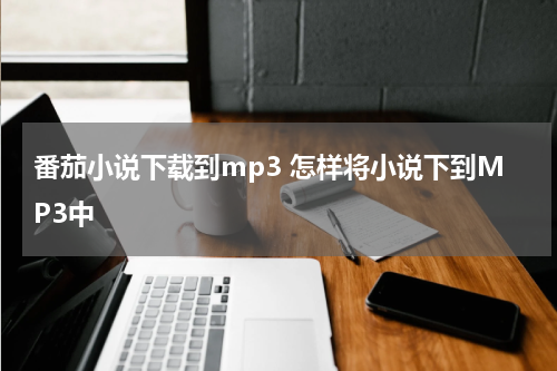番茄小说下载到mp3 怎样将小说下到MP3中