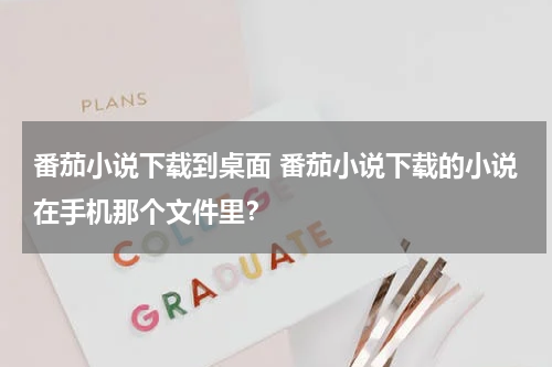 番茄小说下载到桌面 番茄小说下载的小说在手机那个文件里？