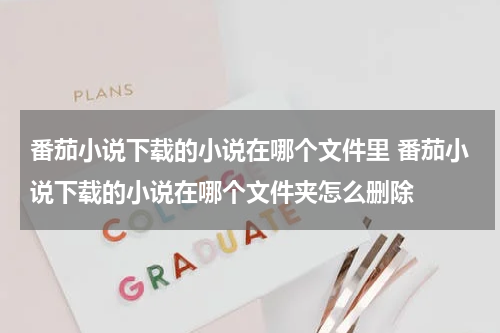 番茄小说下载的小说在哪个文件里 番茄小说下载的小说在哪个文件夹怎么删除