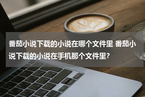 番茄小说下载的小说在哪个文件里 番茄小说下载的小说在手机那个文件里？