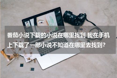 番茄小说下载的小说在哪里找到 我在手机上下载了一部小说不知道在哪里去找到？