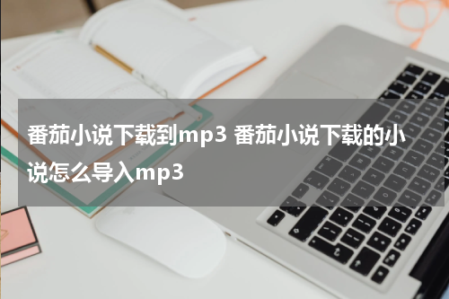 番茄小说下载到mp3 番茄小说下载的小说怎么导入mp3