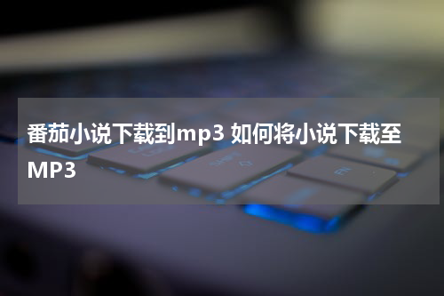番茄小说下载到mp3 如何将小说下载至MP3