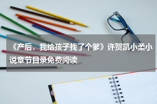 《产后，我给孩子找了个爹》许贺凯小柔小说章节目录免费阅读
