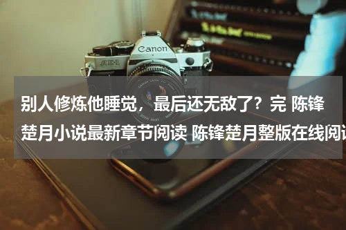 别人修炼他睡觉，最后还无敌了？完 陈锋楚月小说最新章节阅读 陈锋楚月整版在线阅读