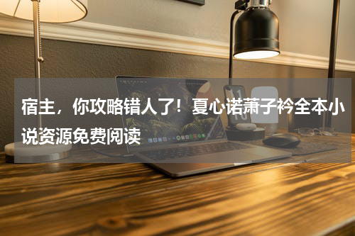 宿主，你攻略错人了！夏心诺萧子衿全本小说资源免费阅读