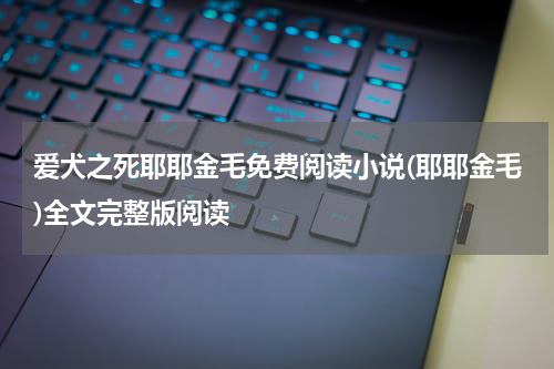 爱犬之死耶耶金毛免费阅读小说(耶耶金毛)全文完整版阅读