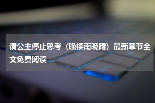 请公主停止思考（晚樱南晚晴）最新章节全文免费阅读