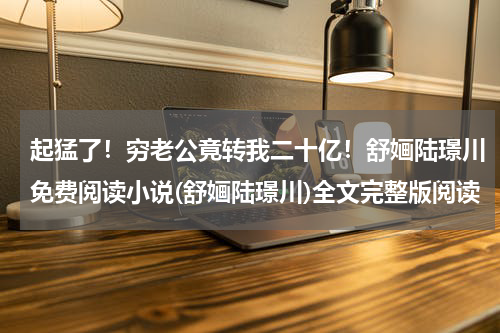起猛了！穷老公竟转我二十亿！舒婳陆璟川免费阅读小说(舒婳陆璟川)全文完整版阅读